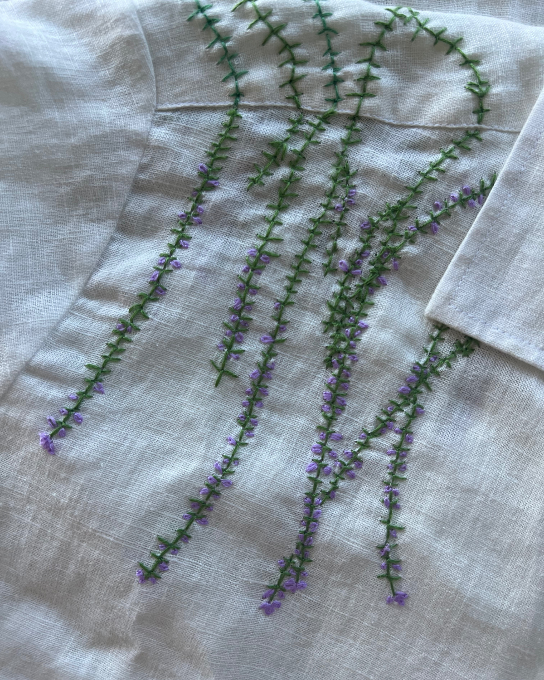 Micromeria Acropolitana